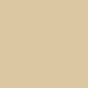 Designer Paints - Beige