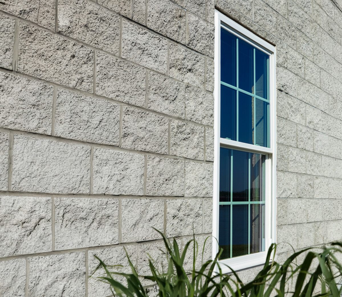 Exterior view of impact double hung windows on a brick home