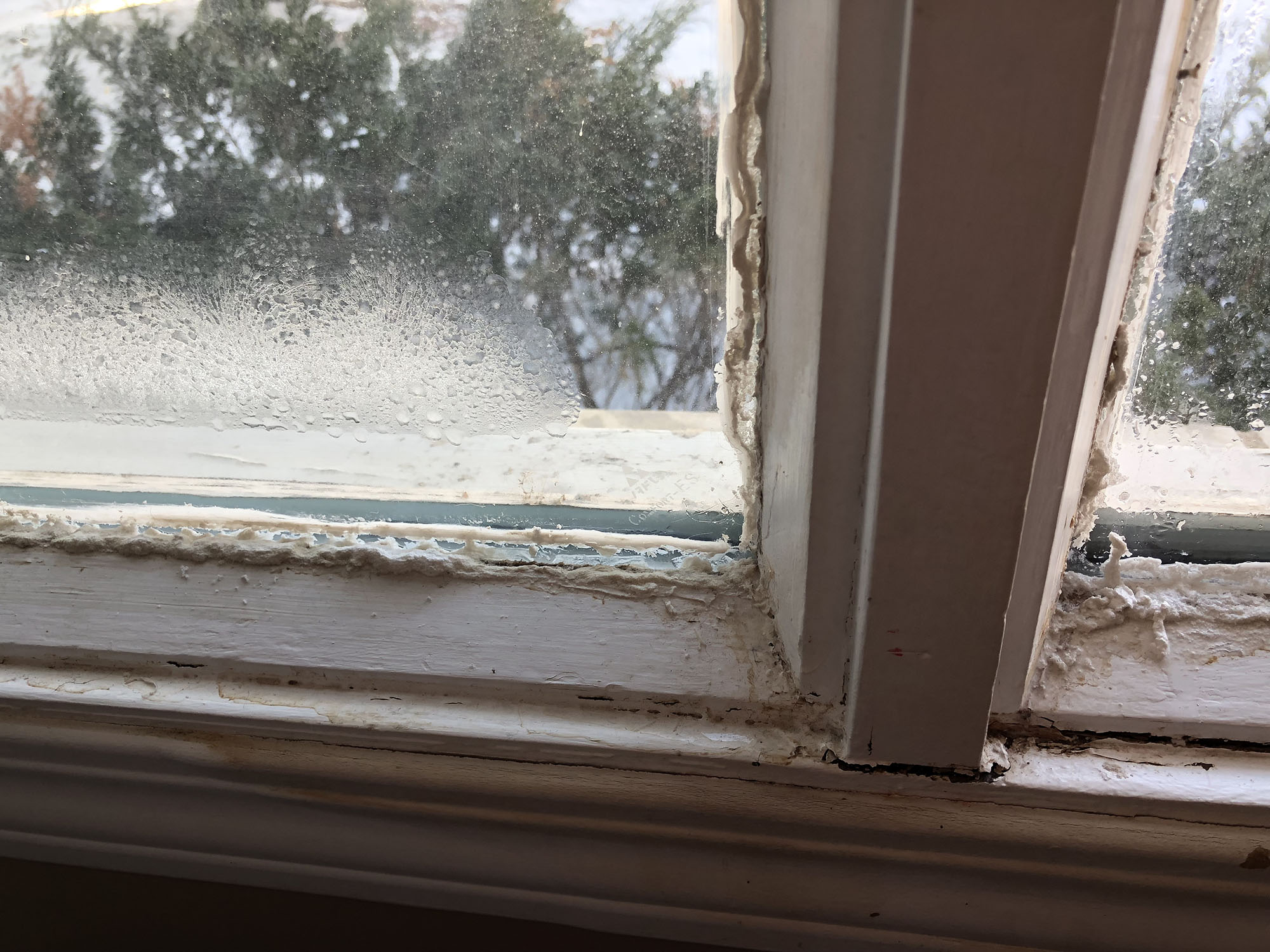 5 Tips to Prevent Condensation on Windows Inside and Out