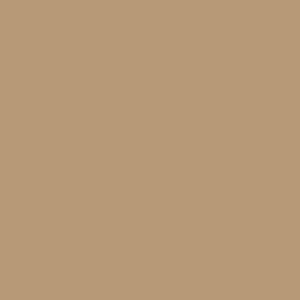 Feature Clad Colors - Coastal Tan