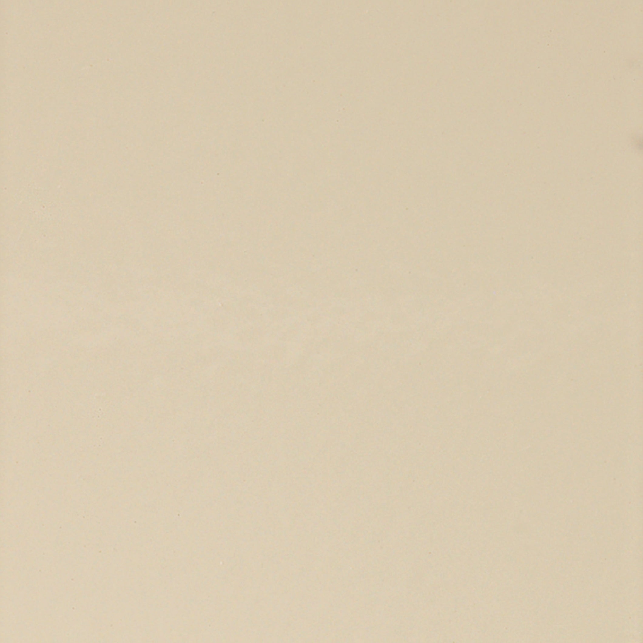 Interior Colors - Beige