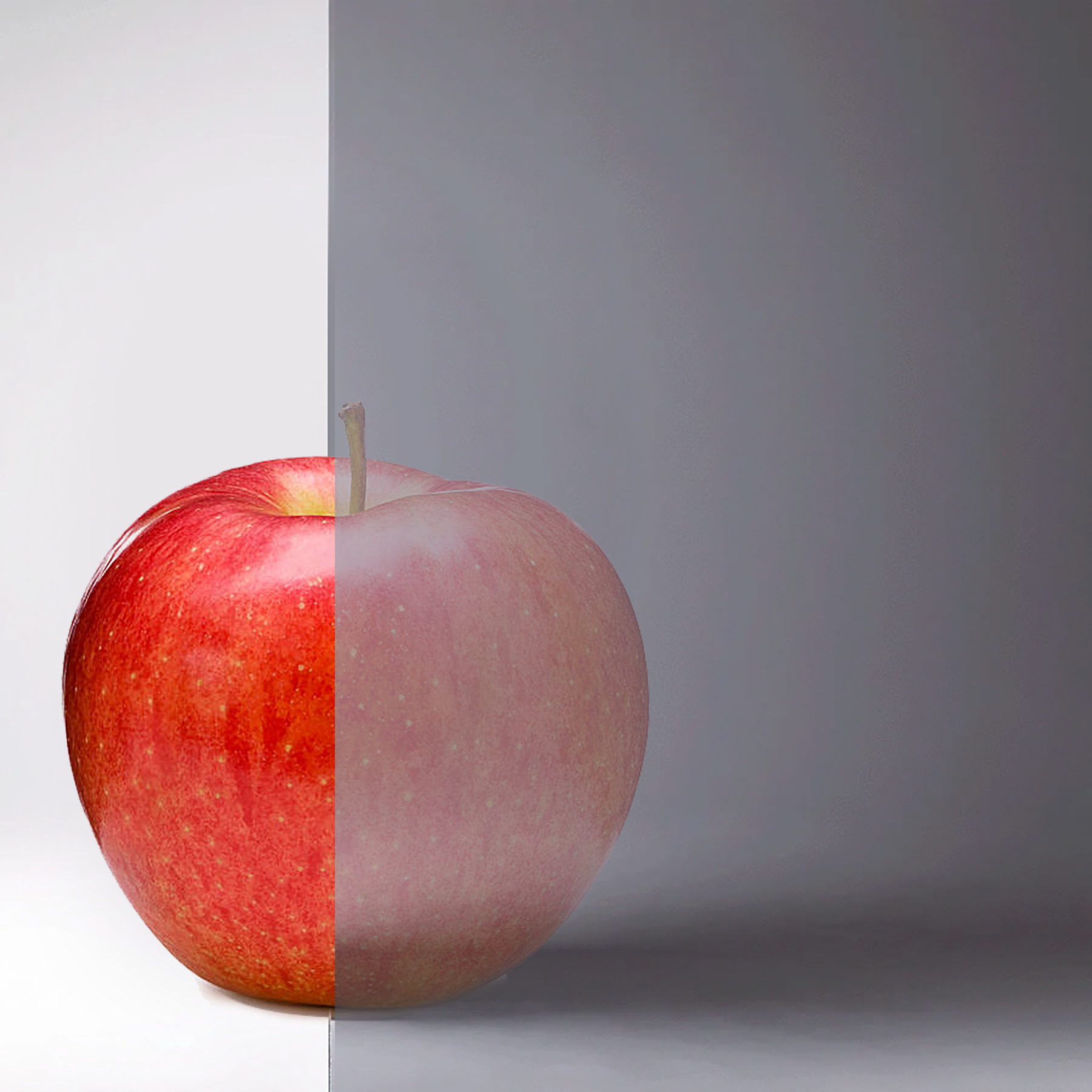 Privacy & Tinted Glass Options - Gray Glass