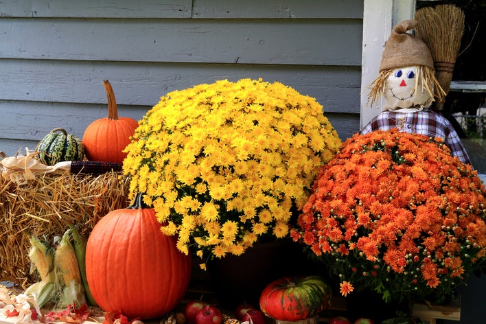 Mums, gourds, hay, and pumpkins decorating the outside of a home