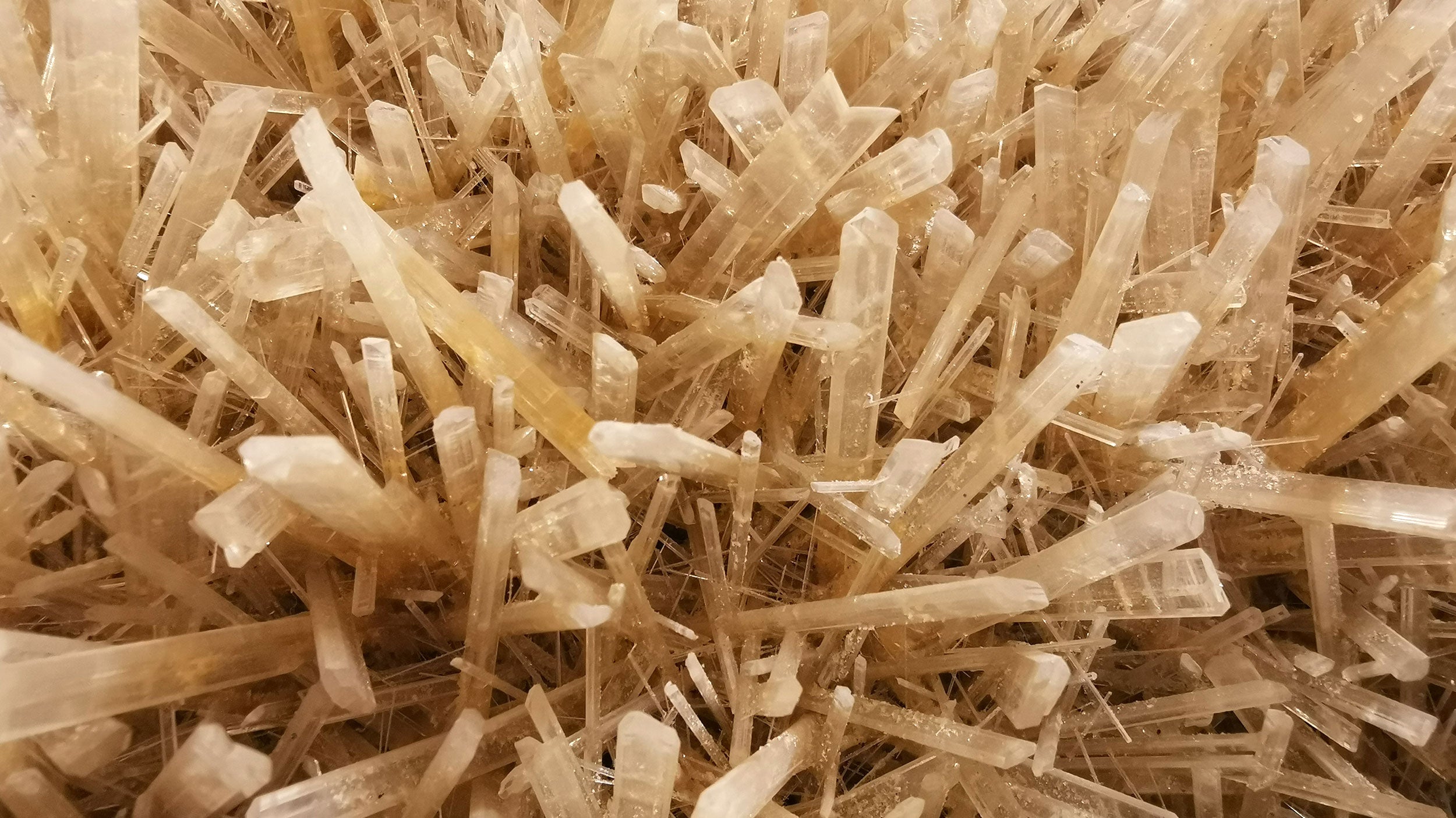 SureDscale™ C Data Sheet