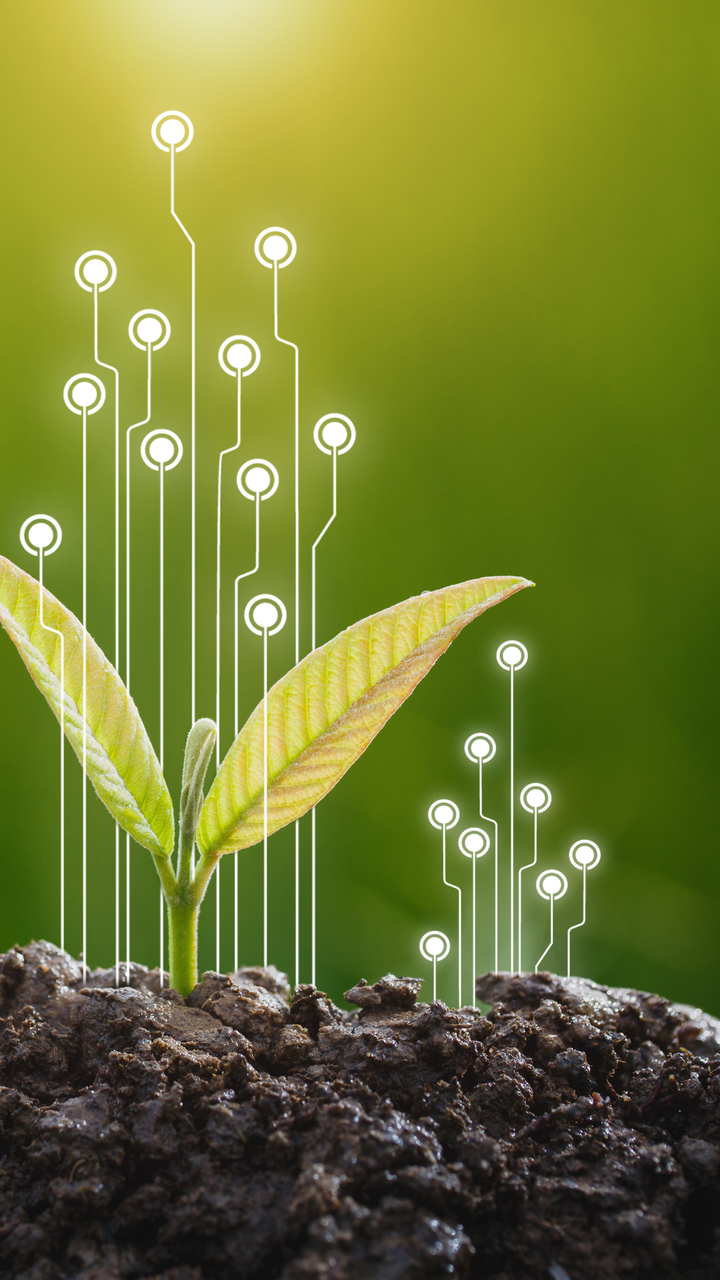 Advances in the Management of Biosolids and Organic Feedstocks