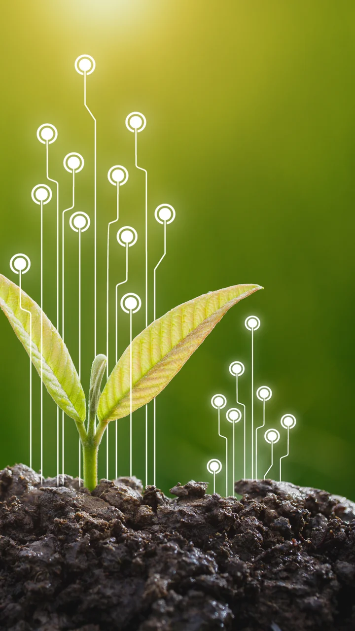 Advances in the Management of Biosolids and Organic Feedstocks