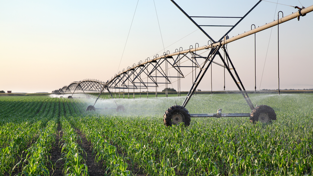 Customer Engagement, Proactive Plans for Financial Resilience Hold the Key