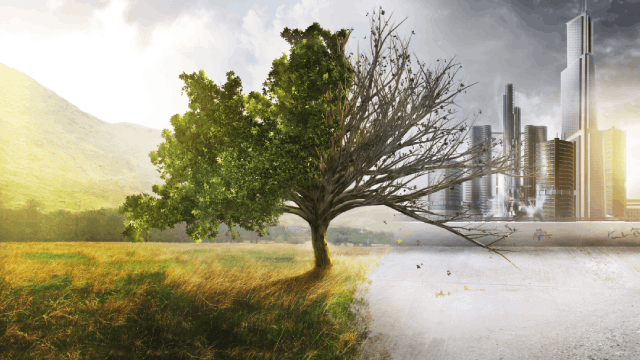 Resilience with Climate-Adaptive Infrastructure