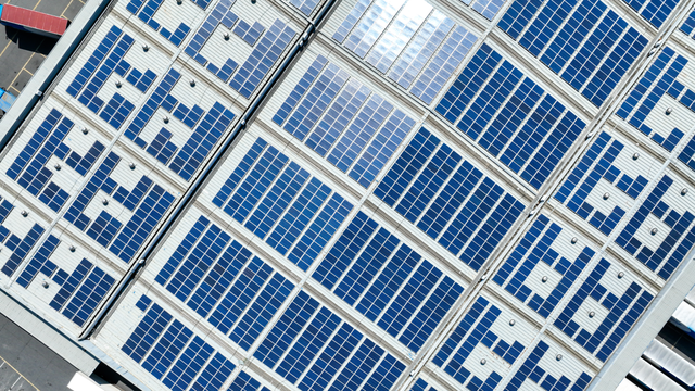 Solar Panels & Fleet