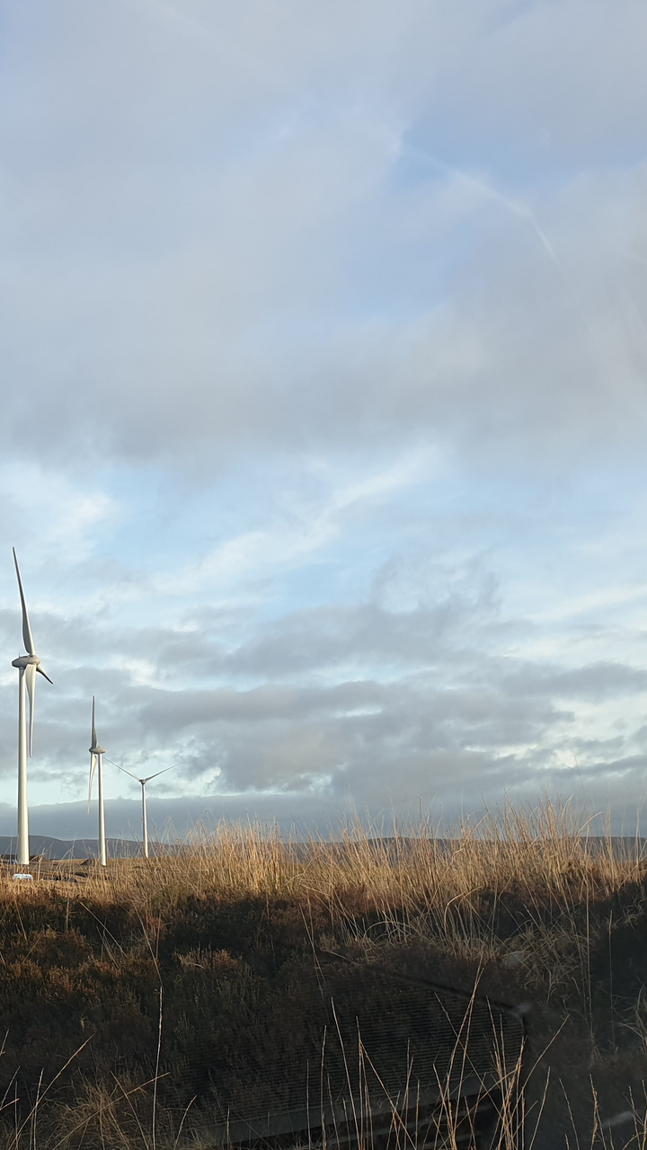 Wind Farm in Ireland
