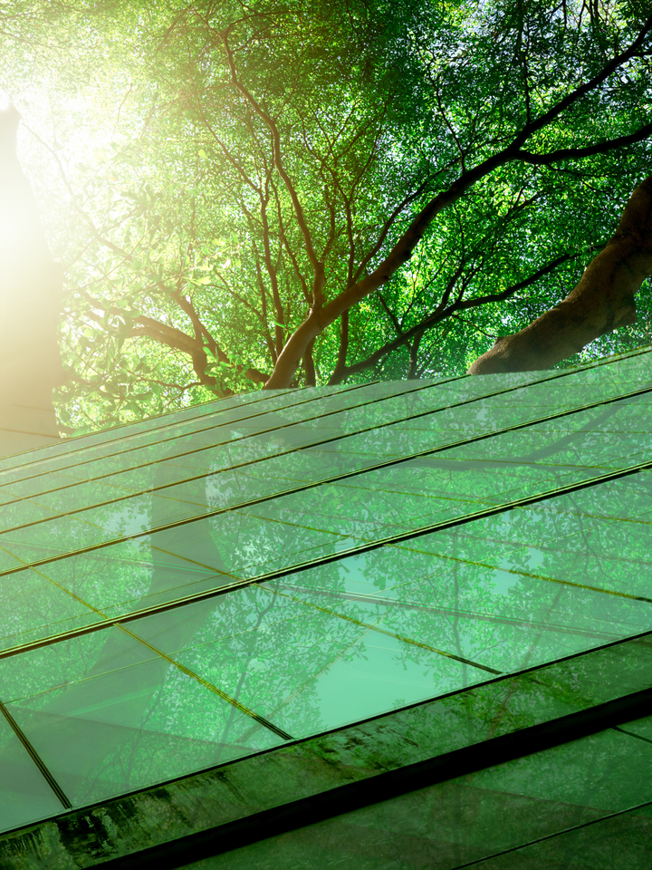 Developing Urban Energy for a Carbon Neutral Future Webinar