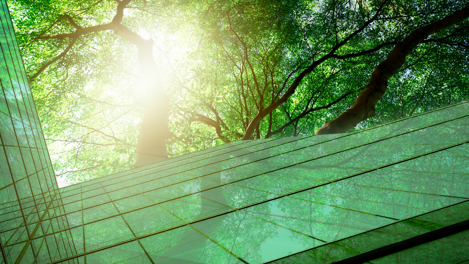 Home page > Green Hydrogen