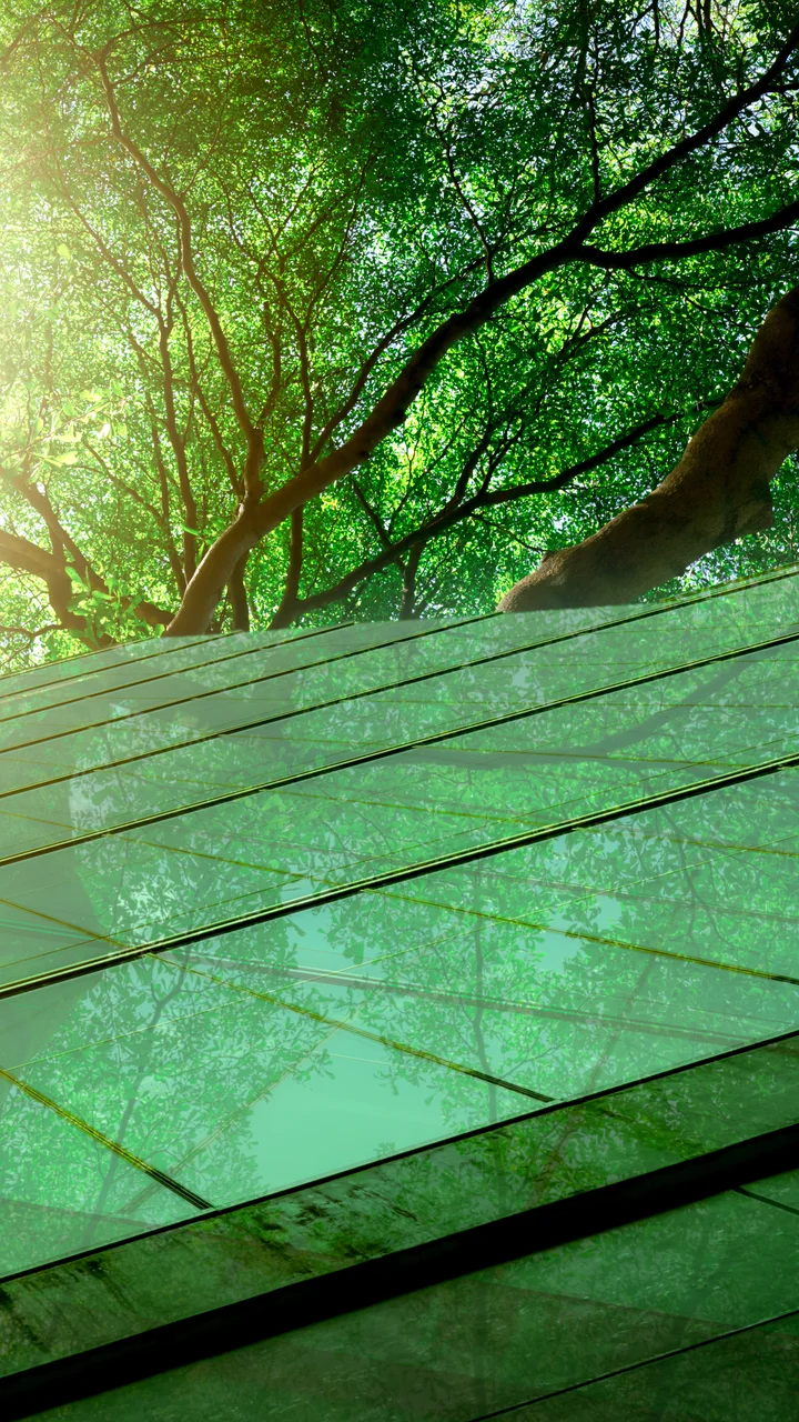 Eco Friendly Building