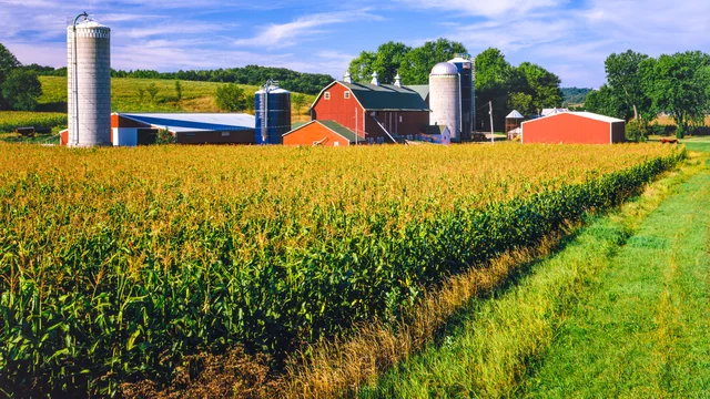 Barn