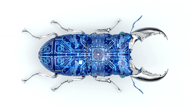 cyber it federal