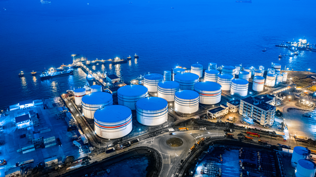 Lng petrochemical plant