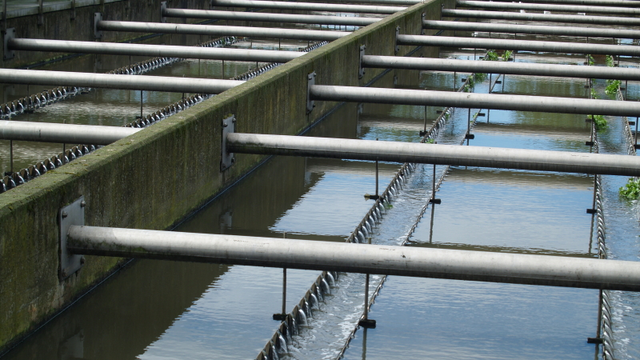 Elmwood Pump Station and Fronting Protection