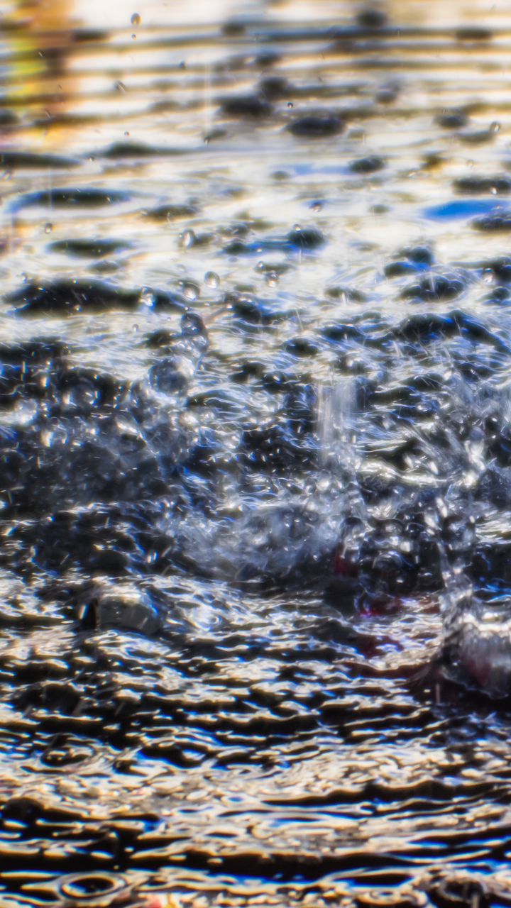 Floodwater Damage