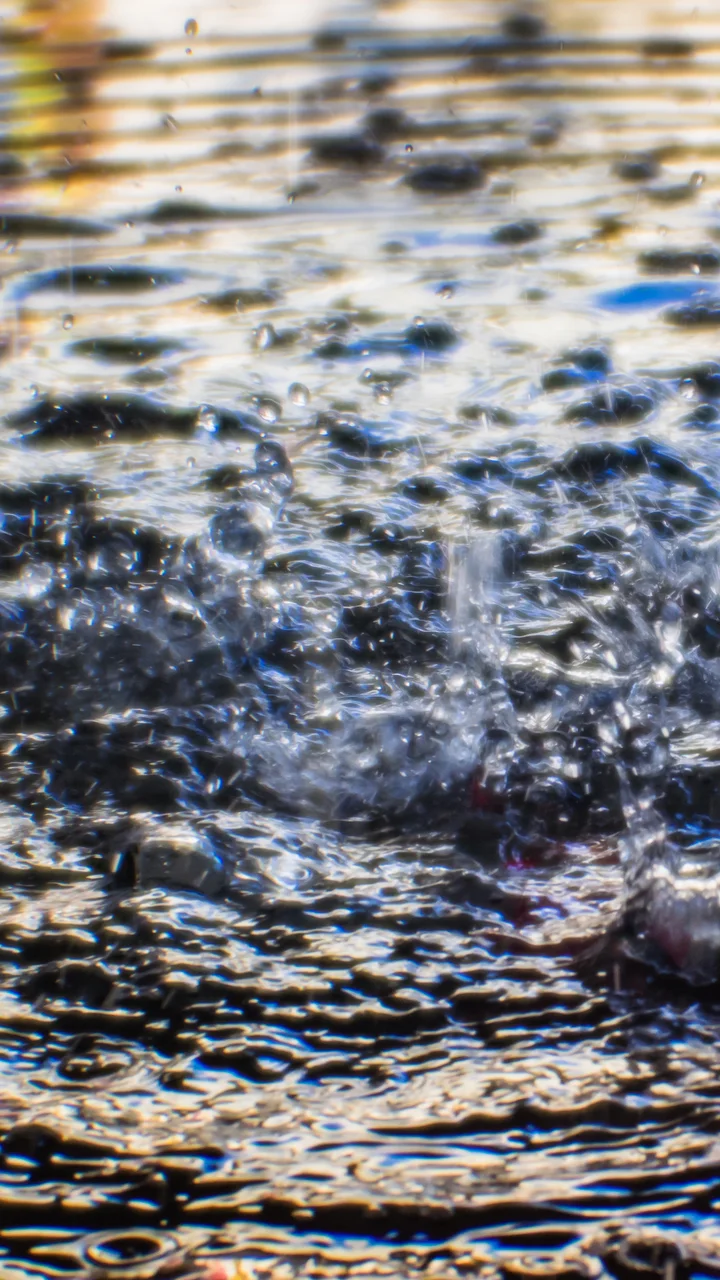 Floodwater Damage