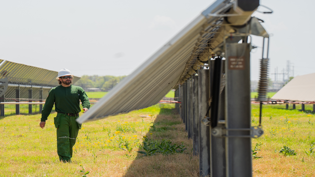 Avangrid's largest solar project helps address Texas data center energy demand