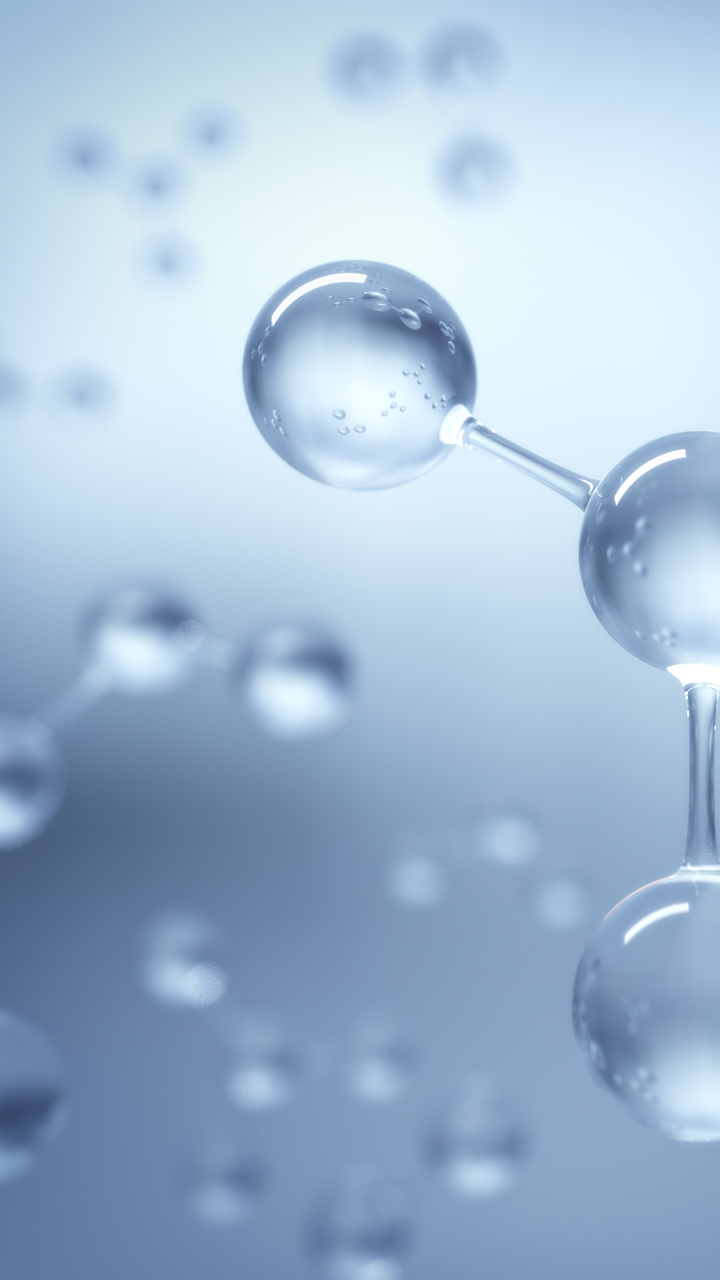Hydrogen Molecule