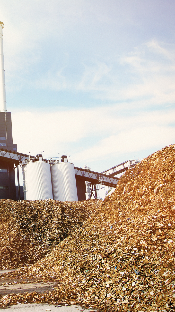 Biomass Power Plant
