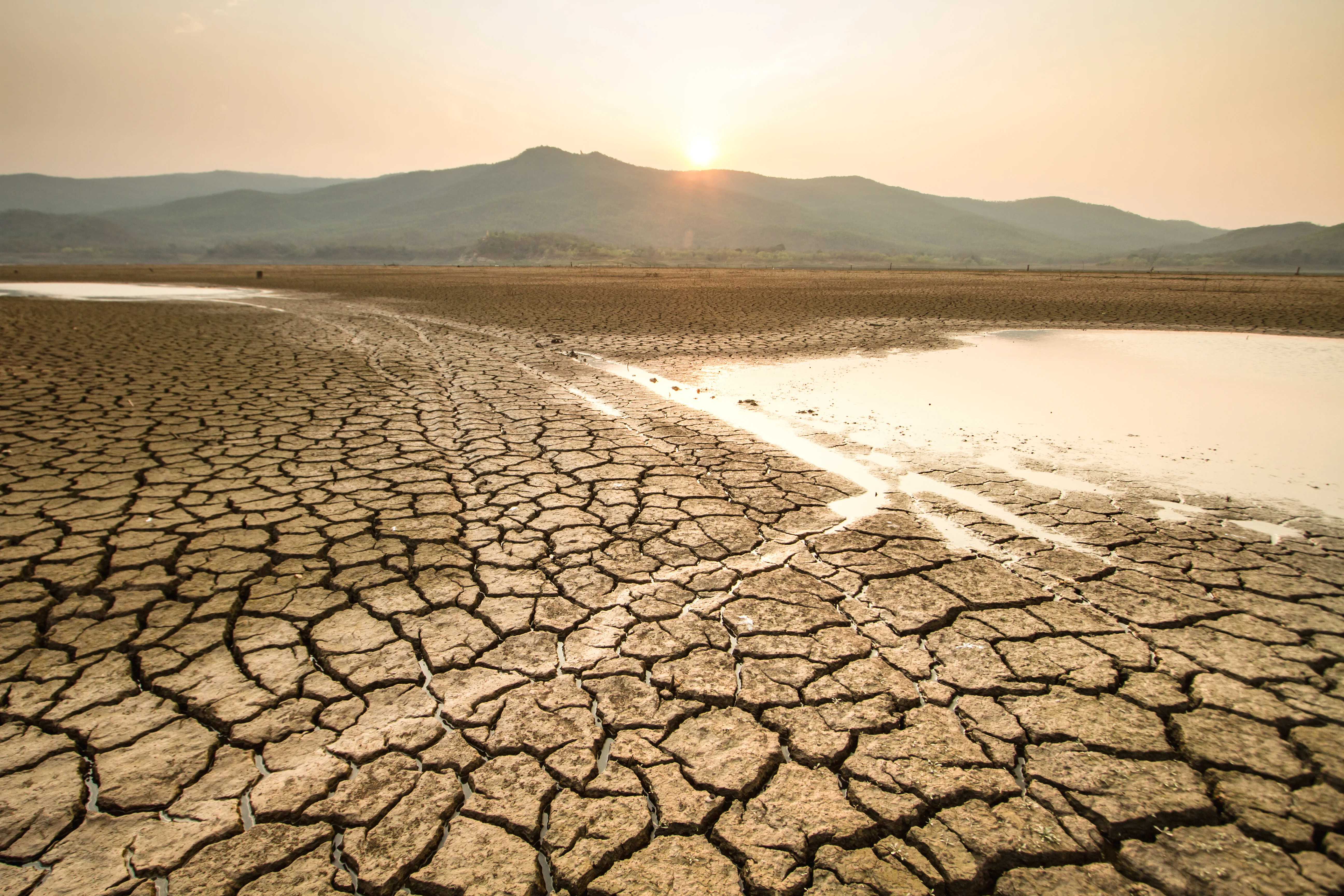 Drought Landscape