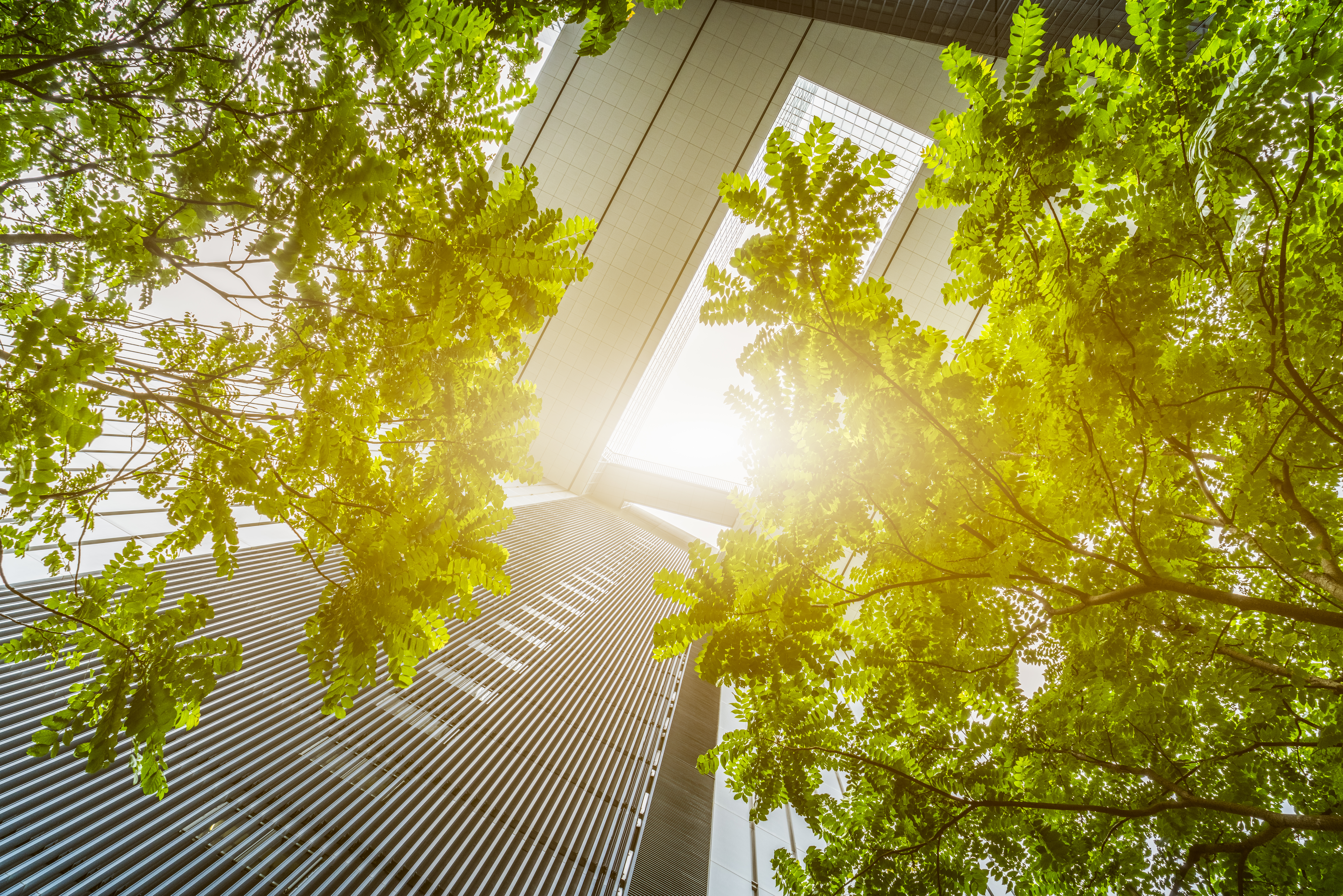 trees and office buildings