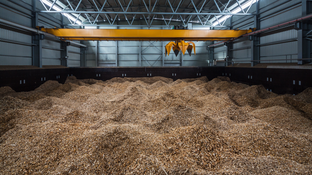 Four Key Developments Needed to Boost Global Biomass Industry