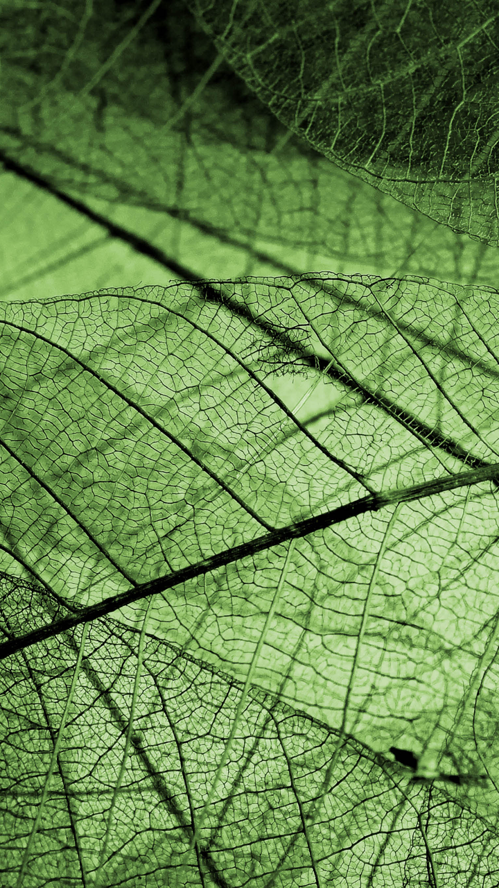 Sustainable Fuels