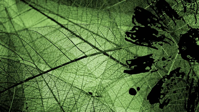 Fueling the Future: Five Steps to Successful Sustainable Fuels Development