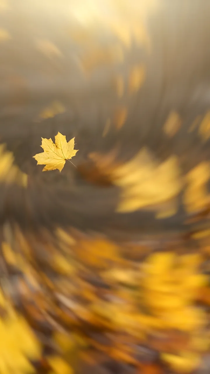 Fall Leaves