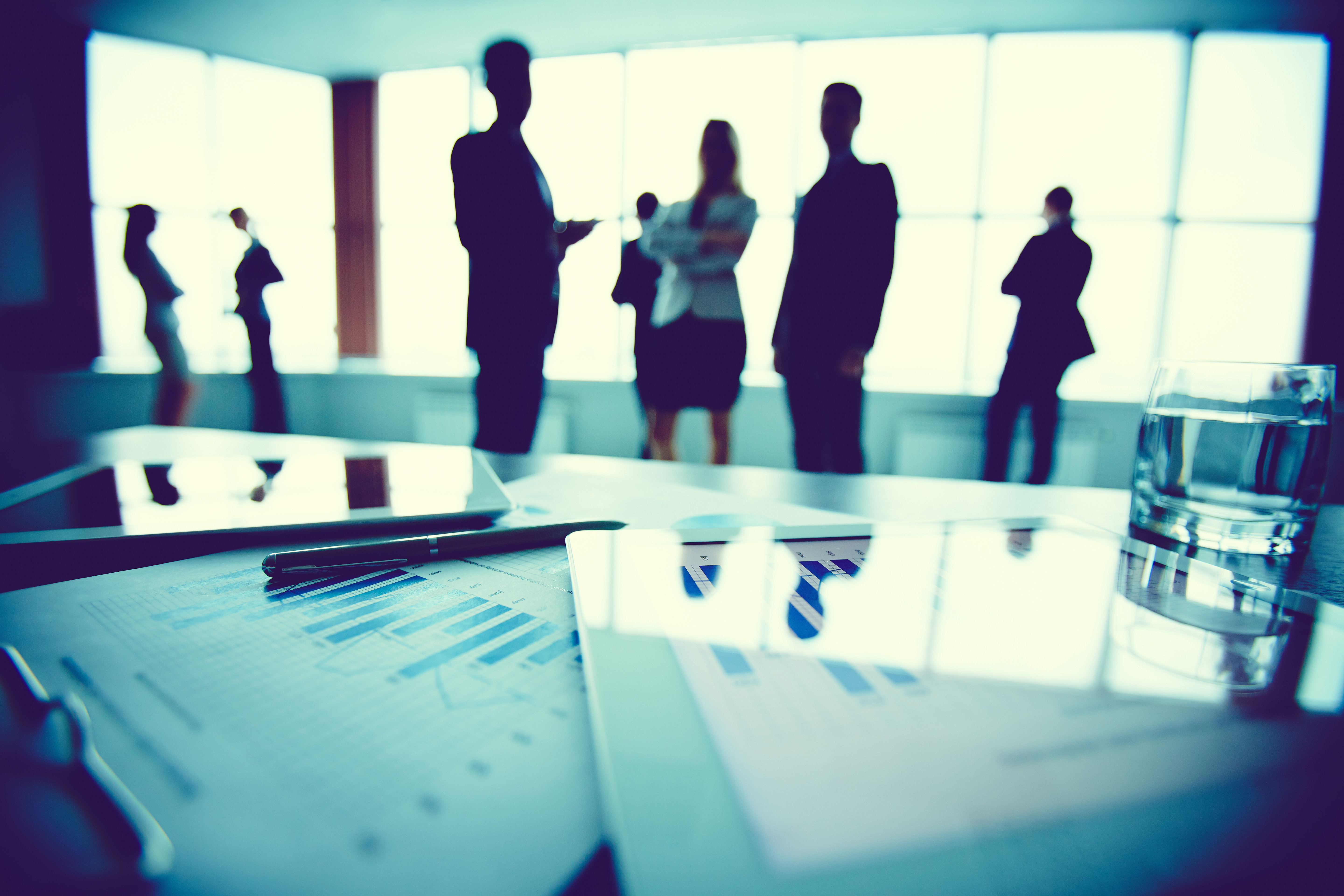 Silhouette with Corporate Infographic