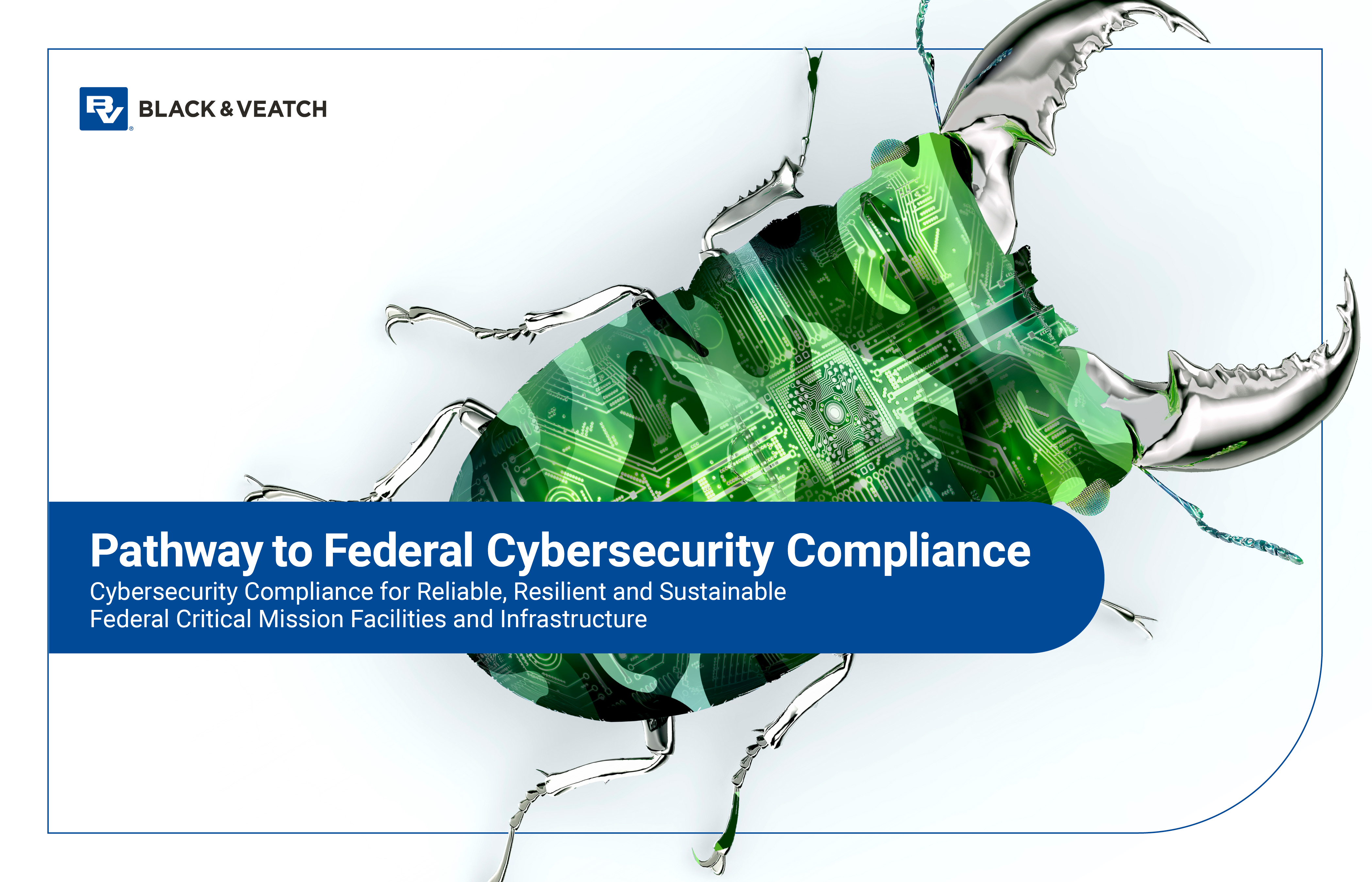 Federal Cybersecurity eBook cover image
