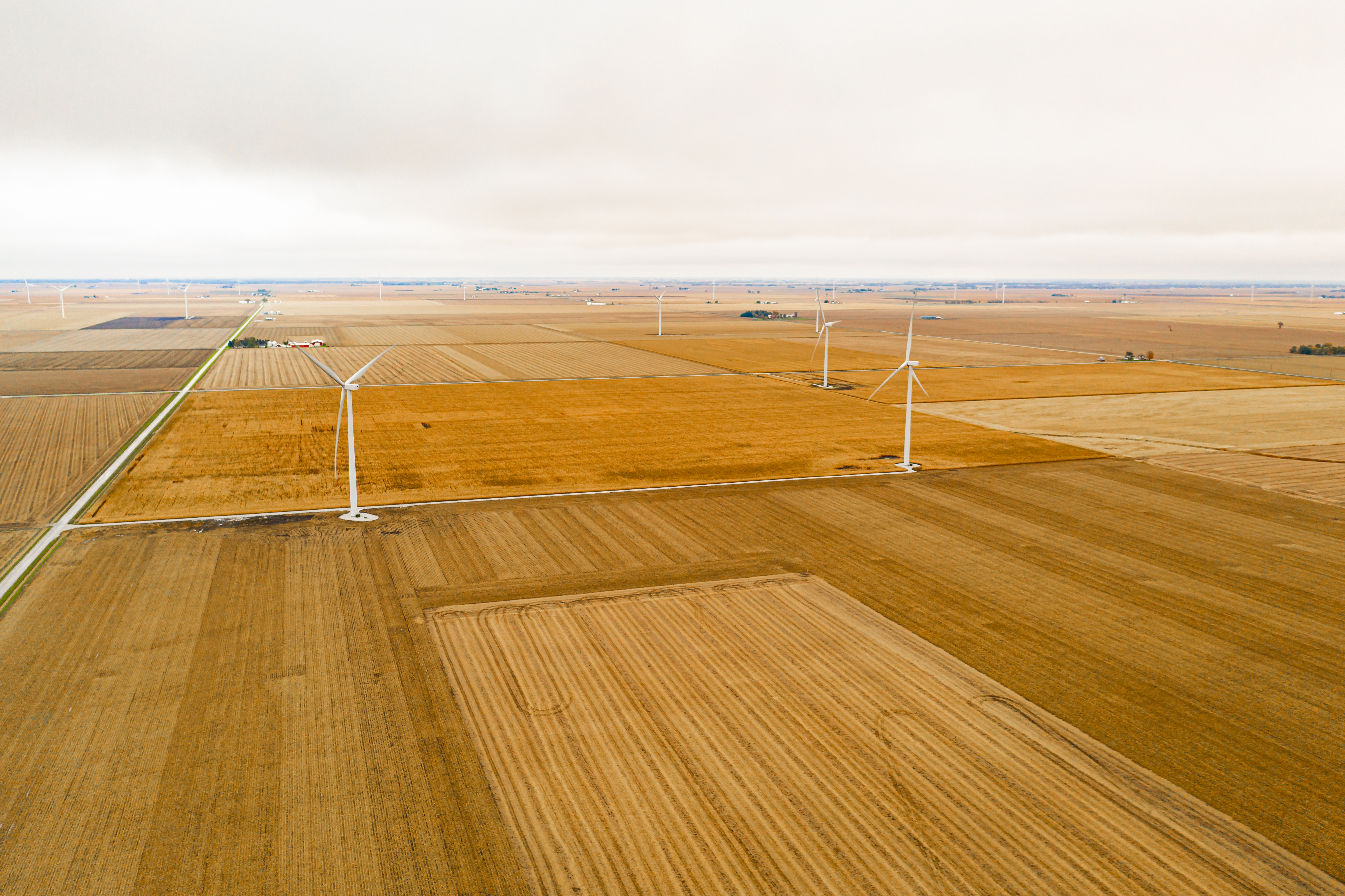 Cardinal Point Small Image