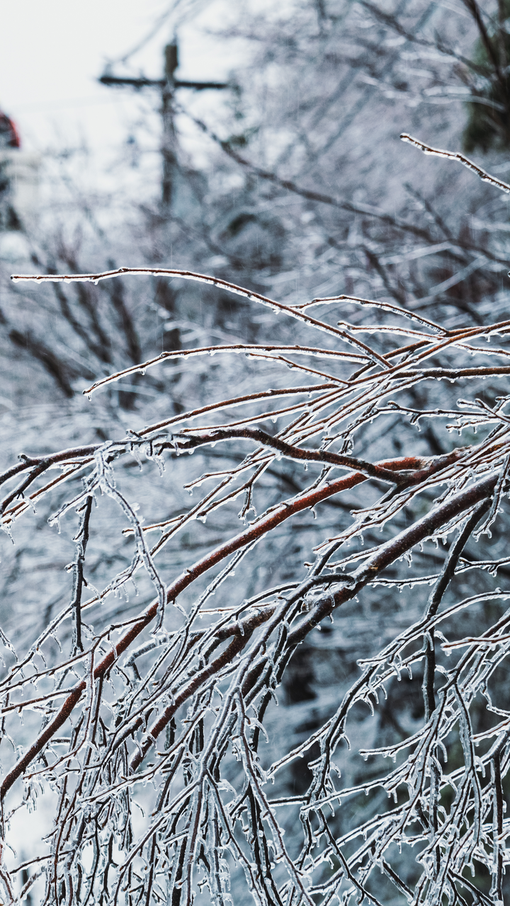 Guy Fixing Power Line After Storm
