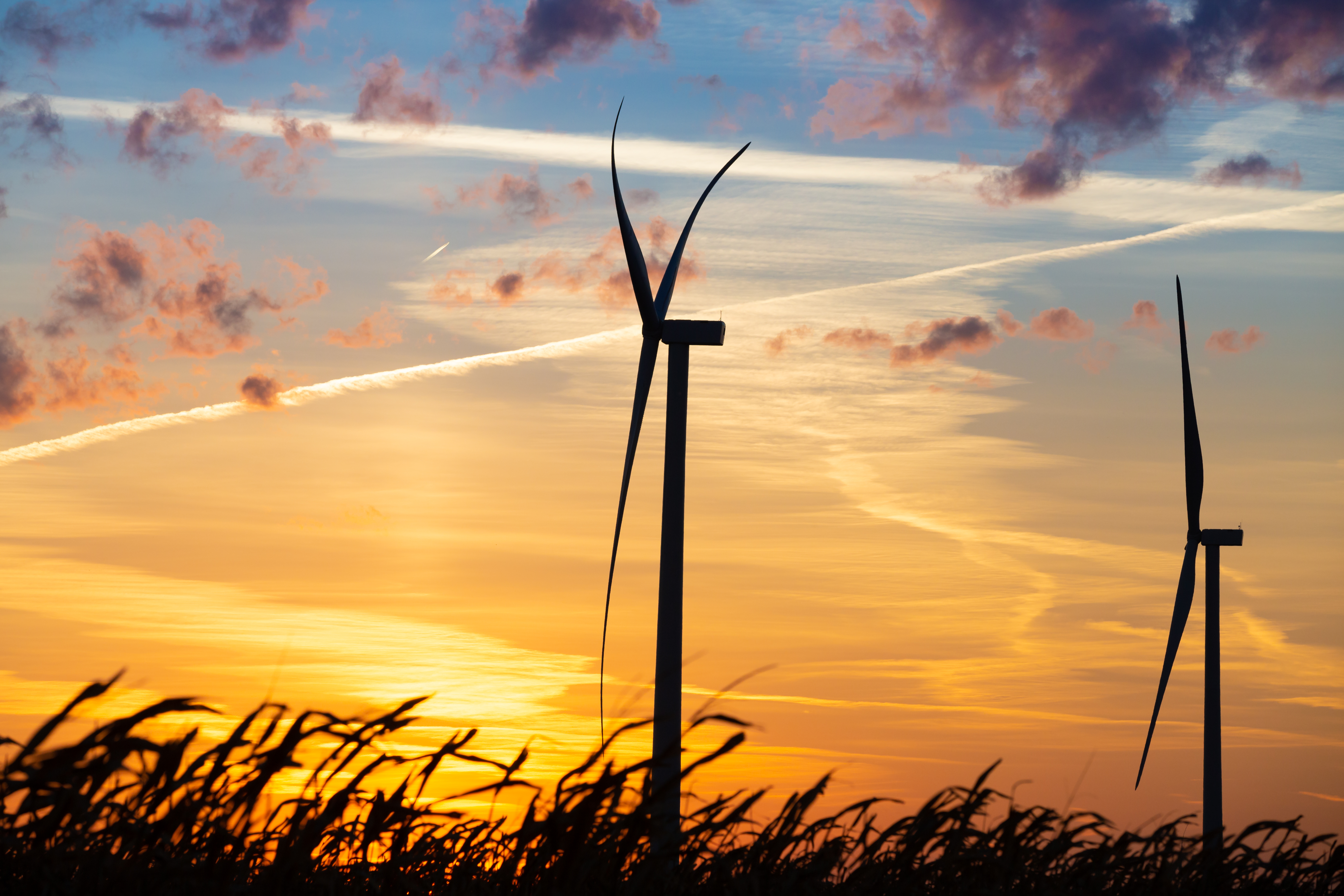 Cardinal Point Wind Project