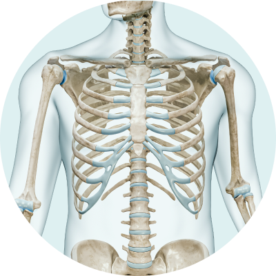 Structural Support