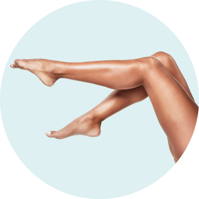 Legs