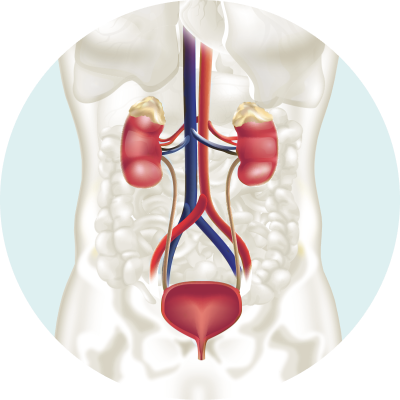 Urinary Tract Infections
