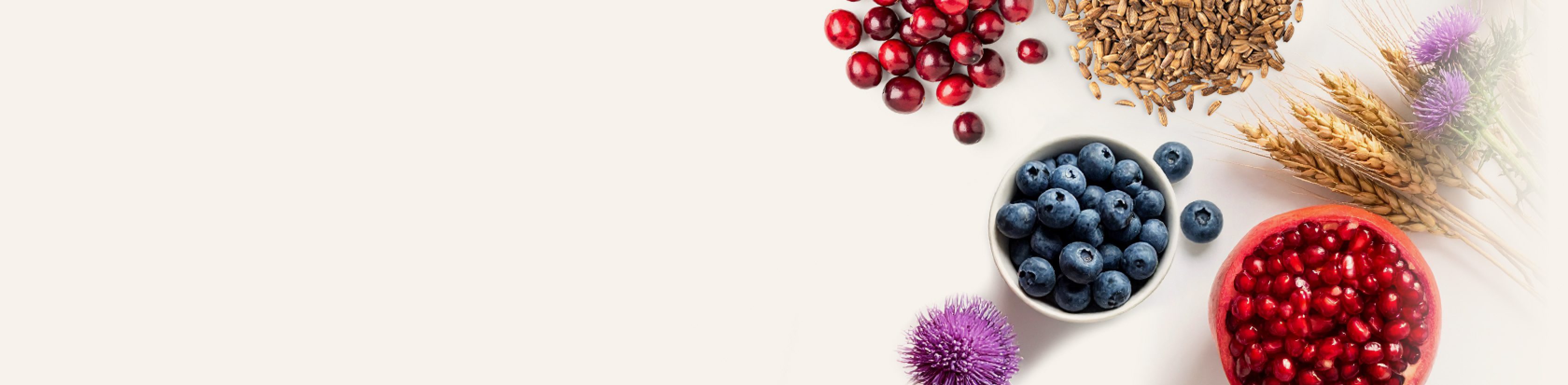 Antioxidants