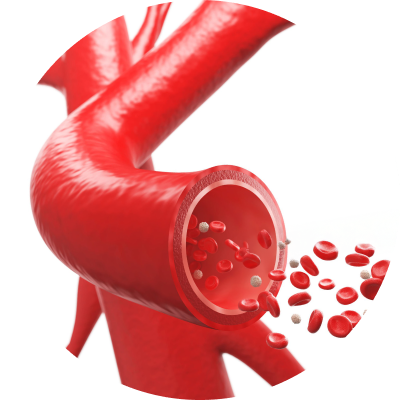 Arteries
