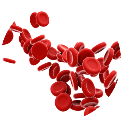 Blood