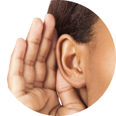 Ears