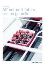 Copertina Caso di studio Eisbaer