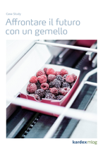 Copertina Studio di caso Eisbär
