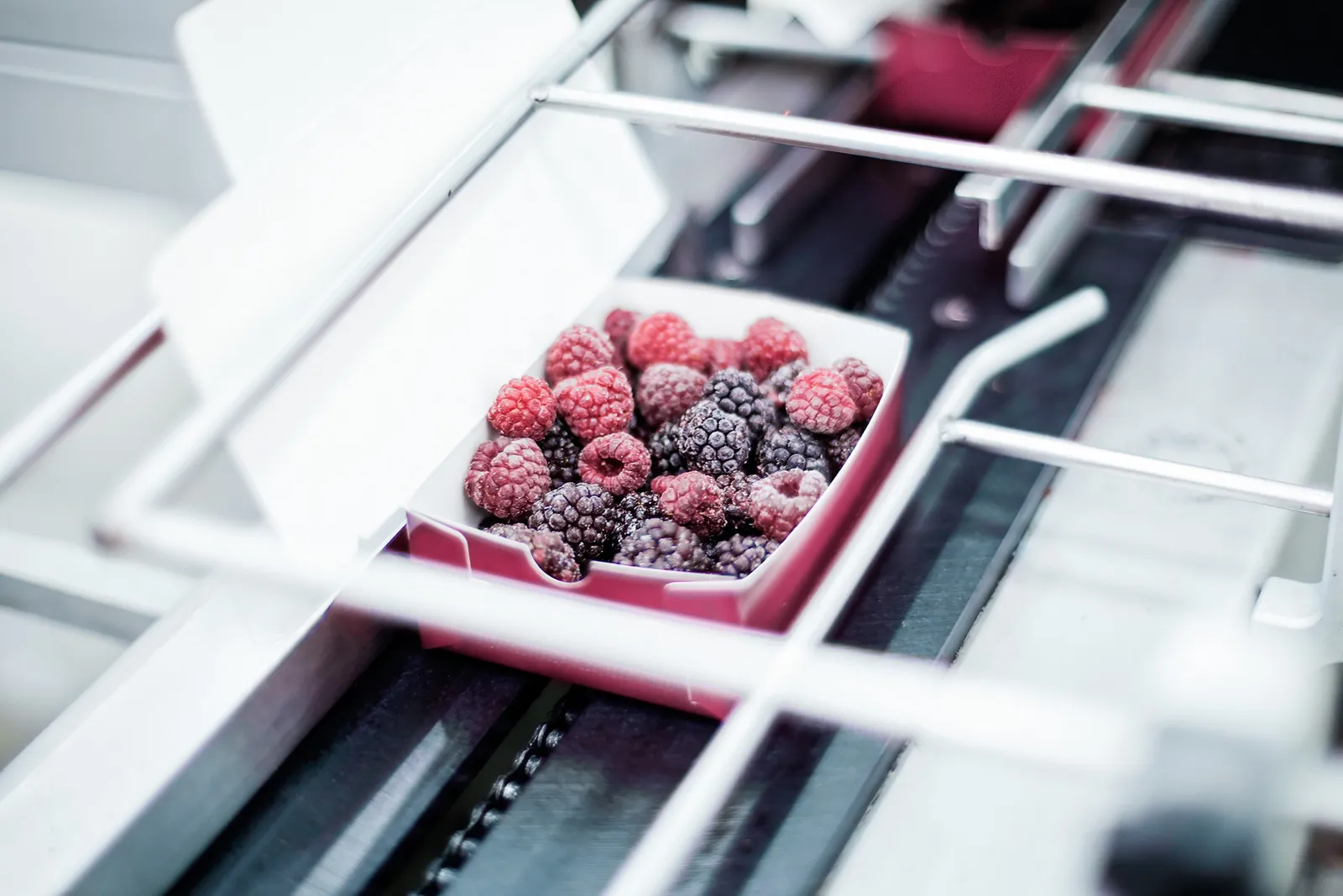 Frozen Berries