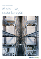 Studium przypadku Brauns Heitmann