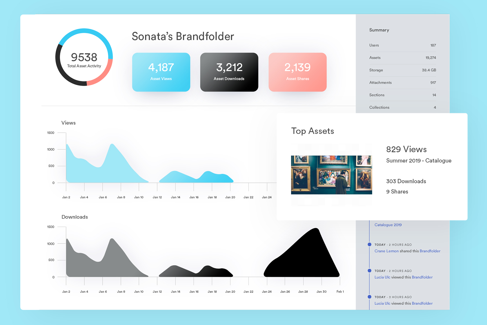 View of asset insights in Brandfolder