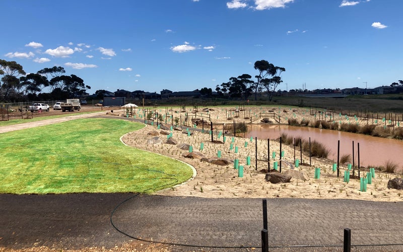 Landscaping around wetlands